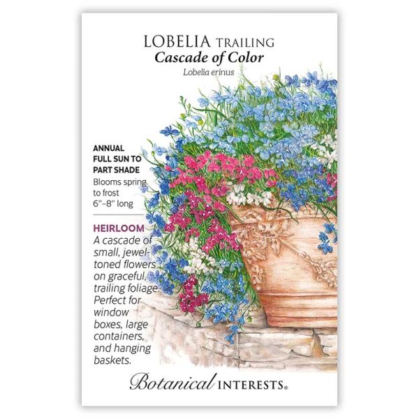 Cascade of Color Trailing  Lobelia Seeds Cheap - Image 3