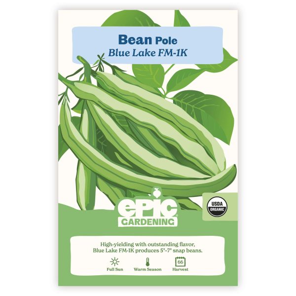 Blue Lake FM-1K Pole Bean on Sale - Image 2